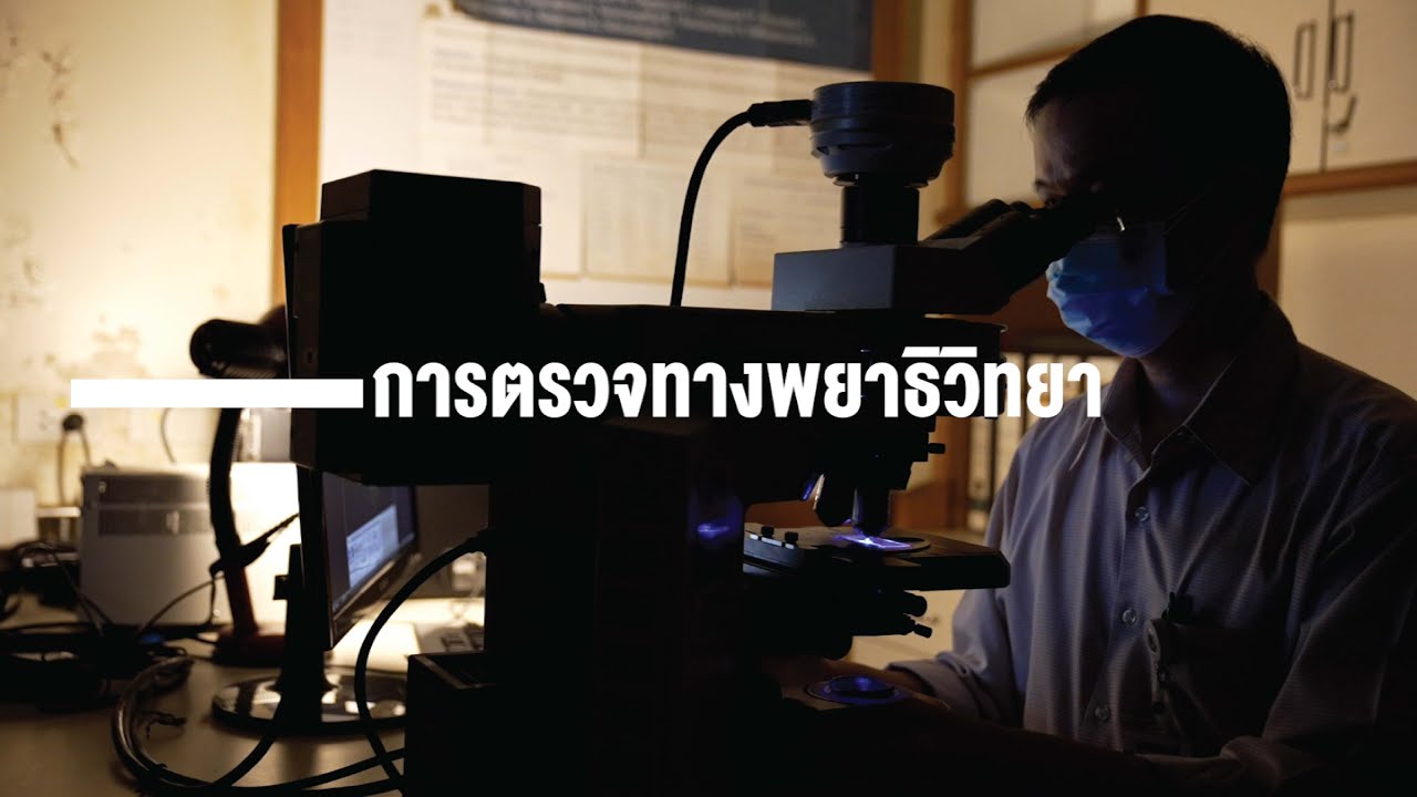 การตรวจทางพยาธิวิทยา เข้าใจง่ายใน 7 นาที