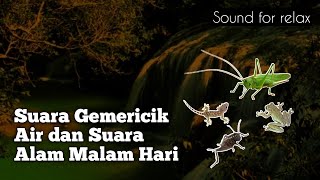 Suara air bikin tenang terapi burung macet bunyi.