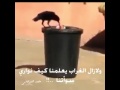 الغراب يعلم الإنسان