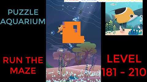 Puzzle Aquarium | Run The Maze Level 181 - 210 | Walkthrough