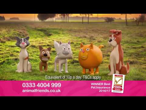 Animal Friends Pet Insurance - Oodles of Poodles Advert - YouTube