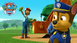 Skye i Chase ratują farmę Ala i nie tylko!  Psi Patrol PAW Patrol po polsku