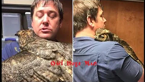 Owl Missed The Man Who Saved Her So Much She Could...