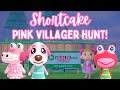 All pink villager hunt acnh