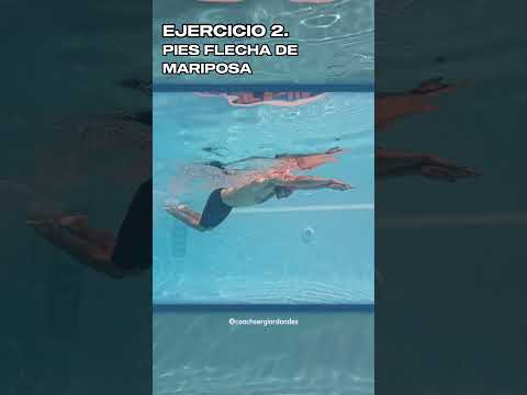 🏊‍♂️TÉCNICA de MARIPOSA en natación #natación #natacion #mariposa  #tecnica #shorts #swim #swimming