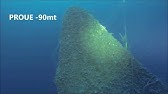 German U Boat U 1105 Panther Dive In Remarkably Clear Water Youtube German U Boat U 1105 Panther Dive In Remarkably Clear Water Youtube