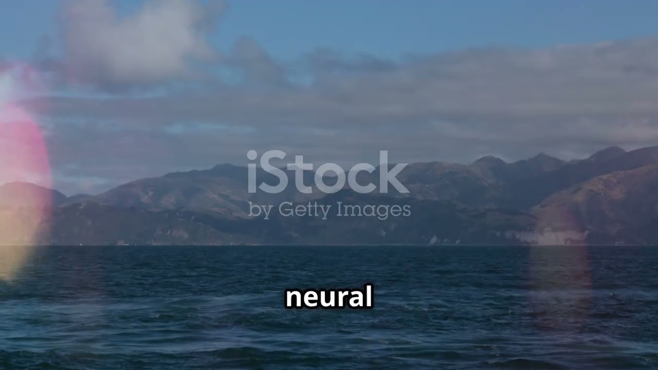 Mysteries of The Brain And Secrets of The Brilliant Heart