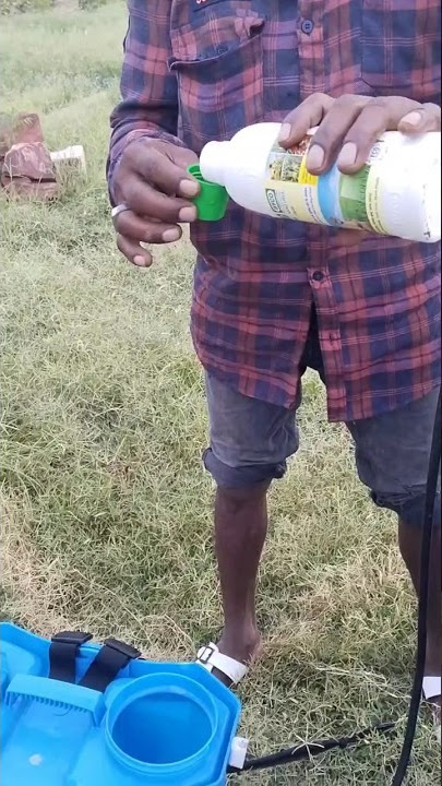 iffco nano urea (liquid) fertilizer spray in kapass #farming #farming #youtube #shorts