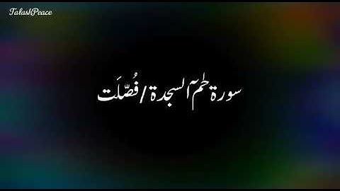 Surah Fussilat [41] - Al-Qur'an al-Kareem - القرآن الكريم