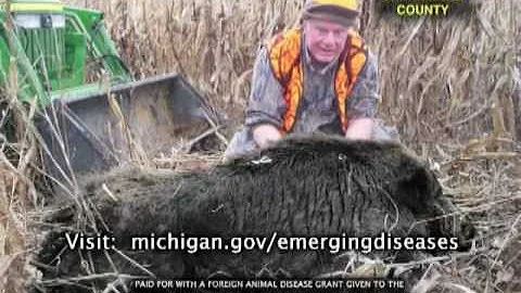 Wild Hogs Public Service Announcement (Feral Swine)