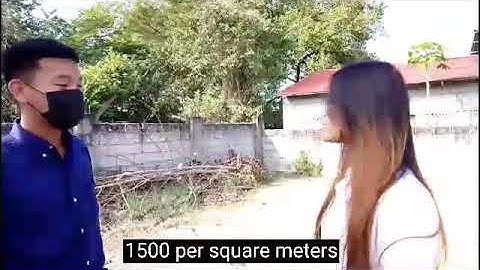 BUSINESS MATHEMATICS GRADE 11: PERFORMANCE TASK