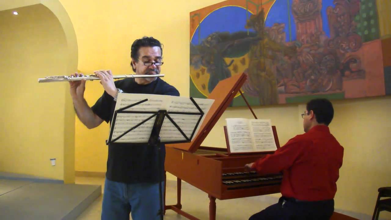 Frantisek Benda flute sonata in eminor First movement YouTube