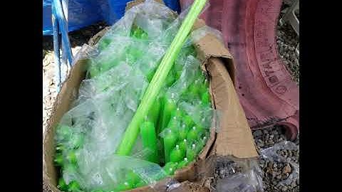 Tilapia Mechanical Filtration Improvement