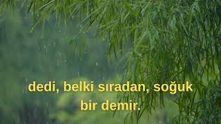 Güzel Sarmaşik Çi̇çeği̇ Ğitim Şam Şfet