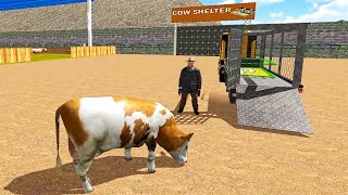 Animal Cargo Truck Transport - Zoo Transporter Truck Driving | Android GamePlay