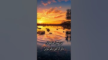 من عمل صالحاً من ذكرٍ أو أنثى فهو مؤمن #قرآن_كريم #تلاوة_هادئة #عبدالرحمن_مسعد #قرآن #تلاوة #quran