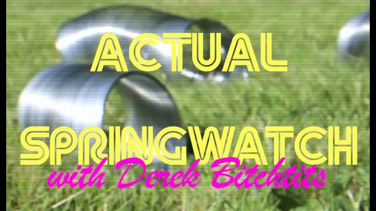 Actual Springwatch