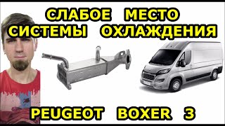 !! ЭТУ НЕИСПРАВНОСТЬ ОБНАРУЖАТ НЕ СРАЗУ !! ЗАМЕНА ТЕПЛООБМЕННИКА ЕГР ПЕЖО БОКСЕР 3 / PEUGEOT BOXER 3