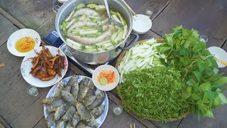 Cá Lóc Đồng nấu Cháo Bầu "Lai Rai" trên Cánh Đồng Tân Lập - Mộc Hoá Mùa Nước Nổi 2023 | Nét Quê #471