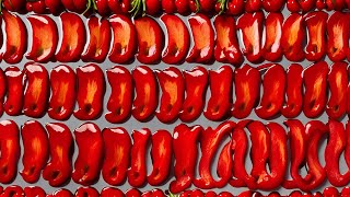 Effective Animal Pest Control: DIY Hot Pepper Spray for Garden Protection!