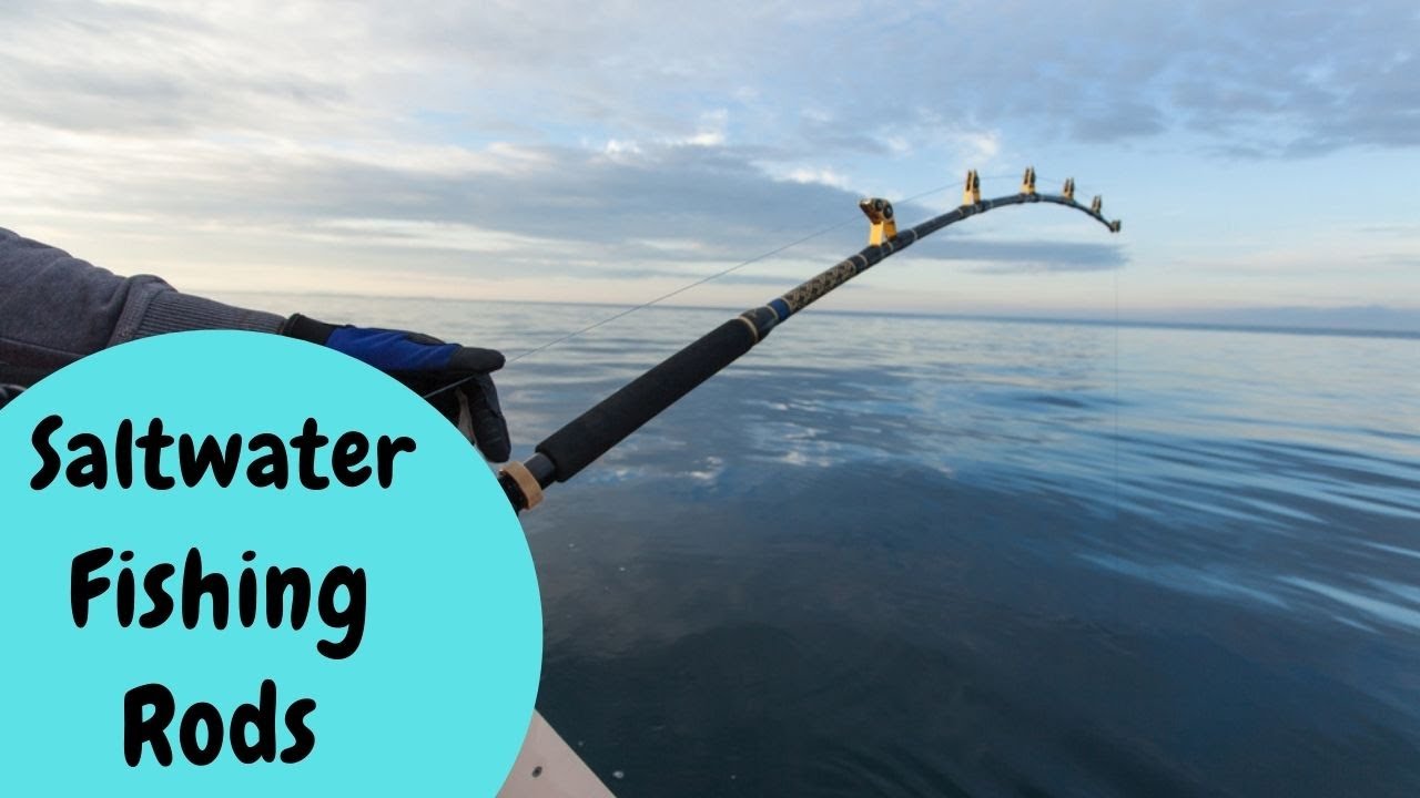 Best Saltwater Fishing Rods in 2022 Enjoy Your Fishing YouTube