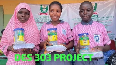 EVERYTHING YOU NEED TO KNOW ABOUT DES 303 COMMUNITY DEVELOPMENT PROJECT || PROPOSAL SUBMISSION