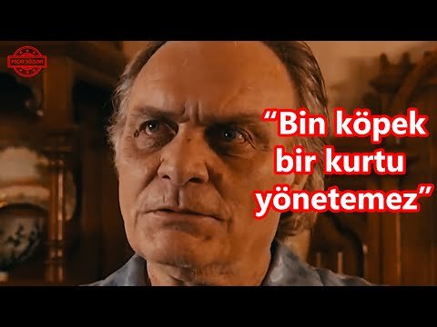 Laz Ziya Qurd haqqında - Kurtlar Vadisi