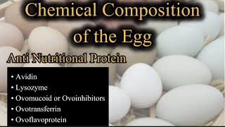 Chemical Composition of the egg | what are 5 Anti Nutritional protiens?