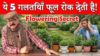 Flowering Plants को बार-बार खिलाने का Scientific तरीका | ये गलतियाँ मत कीजिए #floweringplants