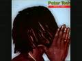 Peter tosh  the day the dollar die