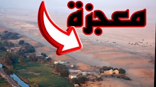 قصة حب خلدتها معجزة حصلت زمان العلماء مستغربين ازاى اتعلمت..الملكه تى والملك امنحوتب الثالث ‼️ by مصر جميله مع نرڤانا 1,918 views 2 weeks ago 4 minutes, 15 seconds