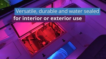 Lumitec Positionable Utility Lights