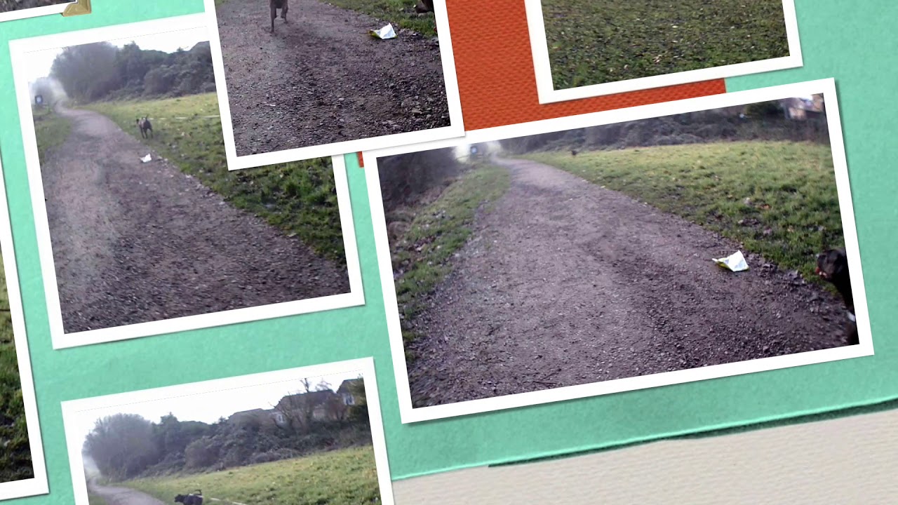 Selangor public holidays 2023 New Years Day 2020 - YouTube