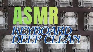 ASMR | Clean my Steelseries TKL Keyboard with me