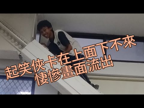 《愛玩現場》爬上去卻不敢下來😭😭悽慘畫面流出