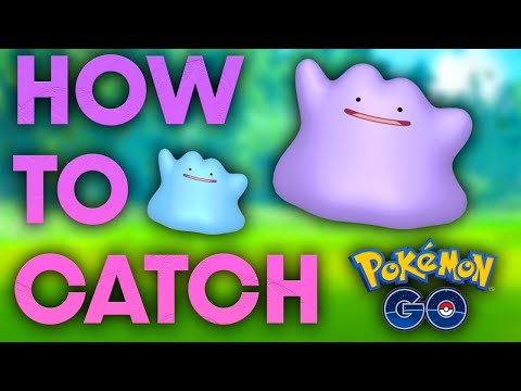 Как поймать Дитто в Pokemon Go (январь 2022 г.)
