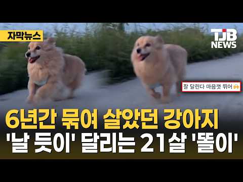 6년간 묶여 살았던 강아지... 이제는 날 듯이 달리는 21살 '똘이'｜ TJB 대전·세종·충남뉴스