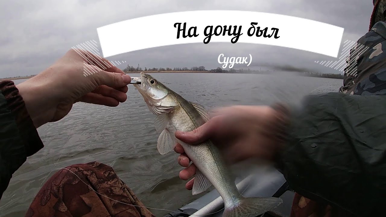 Волга дон рыбалка форум