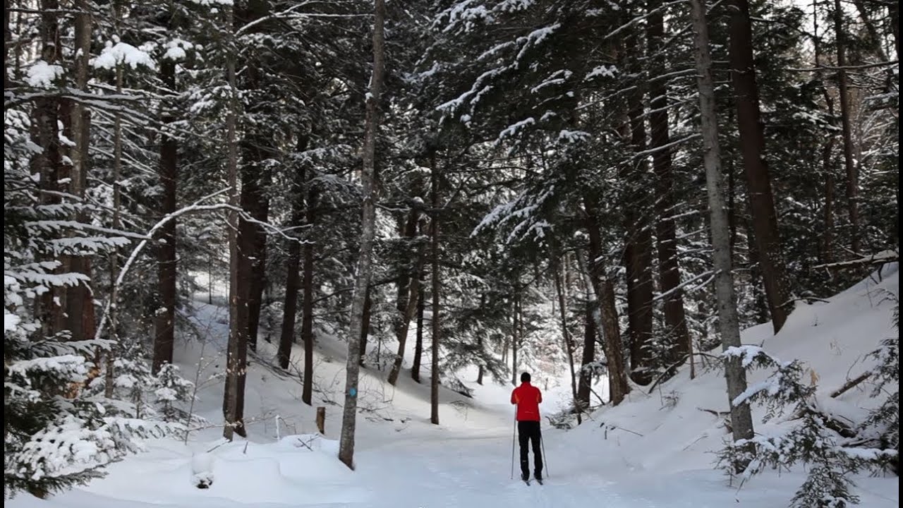 Cross Country Skiing A Pure Michigan Winter
