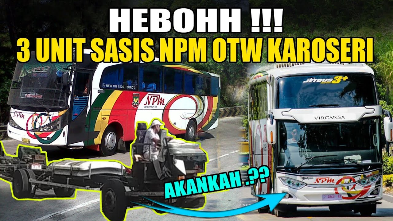 Bus Npm Adi Putro Heboh 3 Unit Sasis Bus Npm Otw Karoseri Kemana Kira Kira Npm V 01 02 03 Youtube