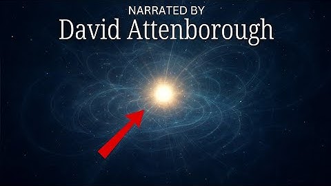The Particle That Made Everything Explained — Narrated by David Attenborough