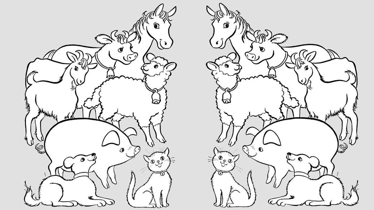 Mirror Farm Animals Coloring pages for kids