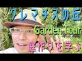 【クレマチスの丘】美しいガーデンから学ぶ庭作りのヒント☆