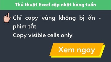 46 - Hướng dẫn chỉ copy những vùng dữ liệu không bị ẩn