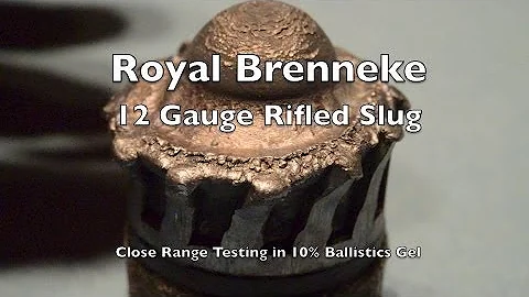 Ammo Test! 12 Gauge Rifled Foster Slug - Royal Bre...