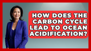 How Does The Carbon Cycle Lead To Ocean Acidification? - Explaining Ecology