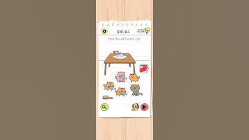 BRAIN TEST 4 LEVEL 243