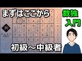 【初心者向け】やさしいナンプレの解き方・数独を解くのコツ