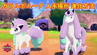 【ガラルポニータ → ギャロップ】入手場所 進化方法 攻略【ポケモン ソード シールド ポケモン剣盾】