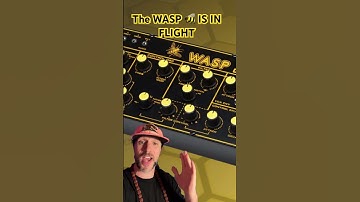 🚨 BEHRINGER WASP IS COMING BAAAABAYYY!!🚨 THANK U@sweetwater @behringer